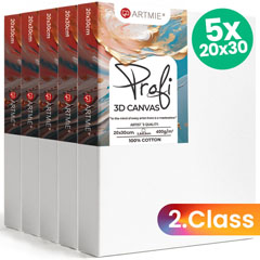 ARTMIE 3D-Leinwand-Set (5 Stück) - 2. Qualität - 20x30 cm