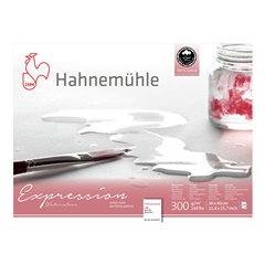 Hahnemühle Expression Aquarellpapier | 30x40 cm