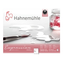 Hahnemühle Expression Aquarellpapier | 40x50 cm