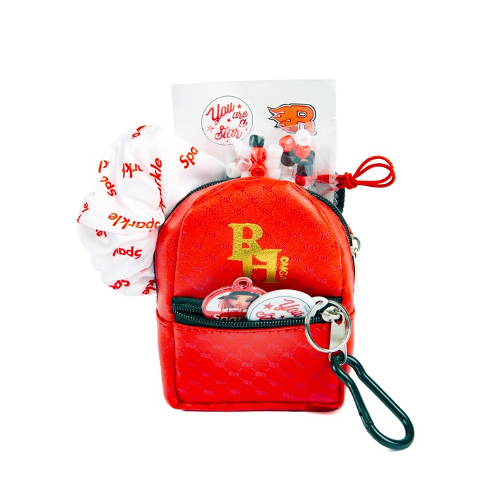Mini-Rucksack mit Zubehör RAINBOW HIGH rot