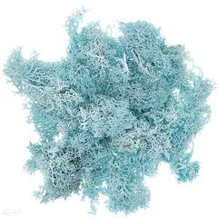 Natürliches Rentiermoos | verschiedene Farben