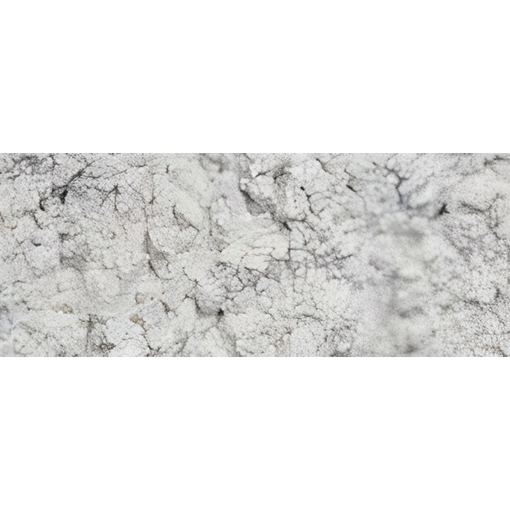 Pigmentpulver Renesans 1000 g | pearl white
